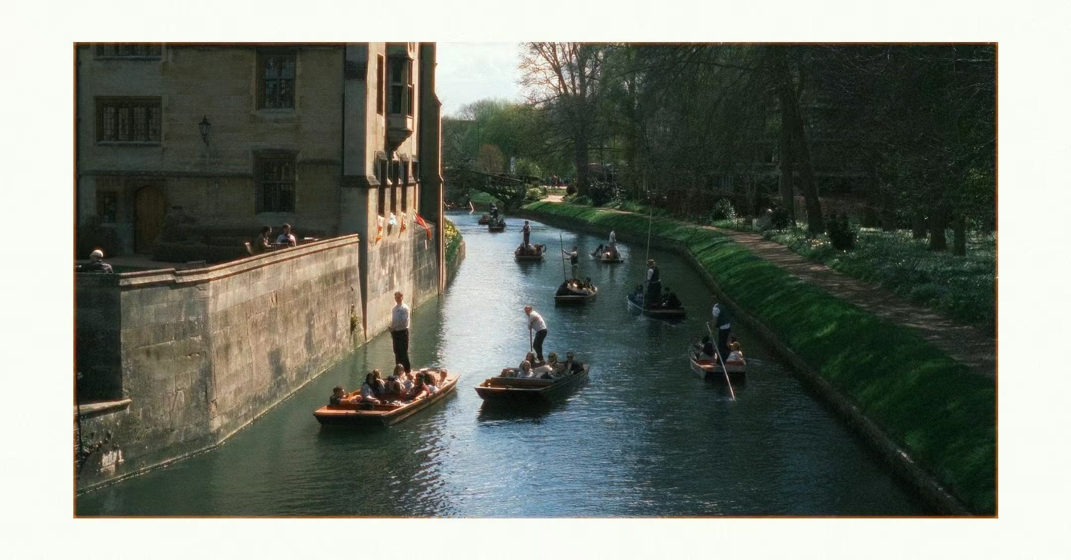 cambridge suhine